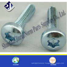 T30 Torx Screw